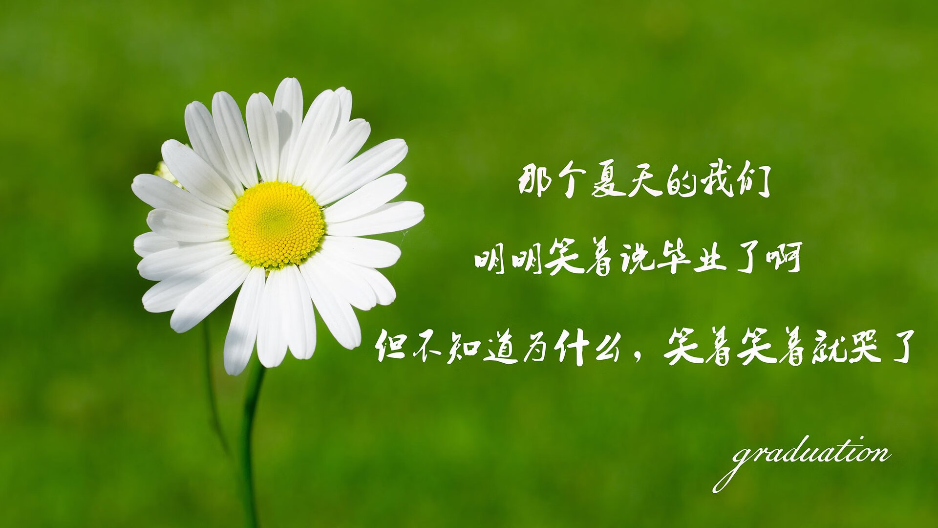 爱游戏官方网站-中国足球拟推出年度足球人物评选，中国足球杰出人物