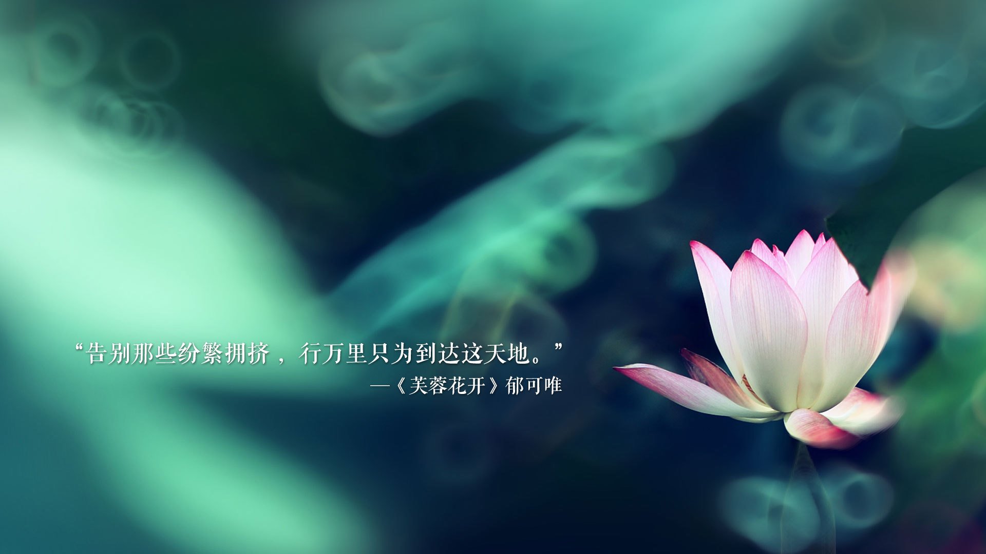 AYX SPORTS-伊朗队后卫吉梅内斯在巴黎奥运会上表现出色，伊朗梅西是谁