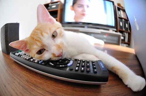 爱游戏体育官方网站-西甲激情四溢：盘带过人瞬间包揽全场，西甲精彩集锦