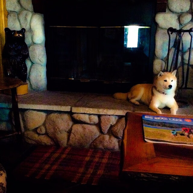 赞比亚男篮在非洲预赛中努力拼搏，迈向奥运梦想的舞台，赞比亚联赛